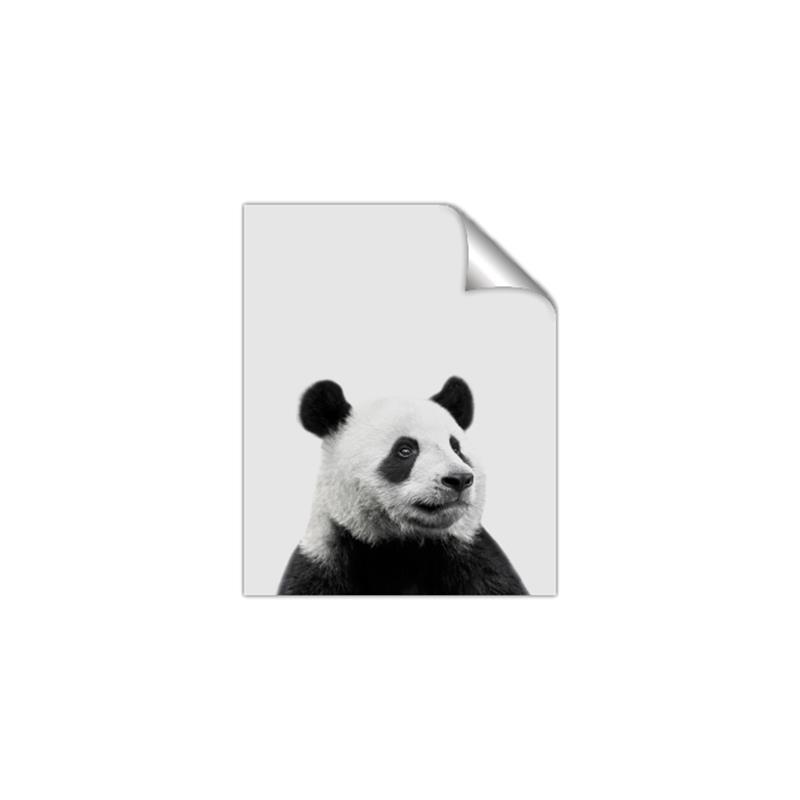 Picture of Panda Portrait _GroupedProduct_Rectangle_Portrait_Mini_ _GroupedProduct_Rectangle_Portrait_Unframed_Print_Only_