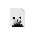 Picture of Panda Portrait _GroupedProduct_Rectangle_Portrait_Mini_ _GroupedProduct_Rectangle_Portrait_Unframed_Print_Only_