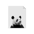 Picture of Panda Portrait _GroupedProduct_Rectangle_Portrait_Mini_ _GroupedProduct_Rectangle_Portrait_Unframed_Print_Only_