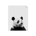 Picture of Panda Portrait _GroupedProduct_Rectangle_Portrait_Mini_ _GroupedProduct_Rectangle_Portrait_Unframed_Print_Only_