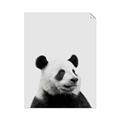 Picture of Panda Portrait _GroupedProduct_Rectangle_Portrait_Mini_ _GroupedProduct_Rectangle_Portrait_Unframed_Print_Only_