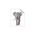 Picture of Behind Elephant _GroupedProduct_Rectangle_Portrait_Mini_ _GroupedProduct_Rectangle_Portrait_Unframed_Print_Only_