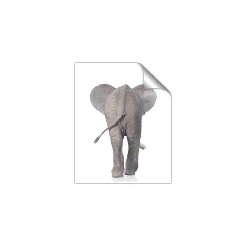 Picture of Behind Elephant _GroupedProduct_Rectangle_Portrait_Mini_ _GroupedProduct_Rectangle_Portrait_Unframed_Print_Only_