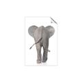 Picture of Behind Elephant _GroupedProduct_Rectangle_Portrait_Mini_ _GroupedProduct_Rectangle_Portrait_Unframed_Print_Only_