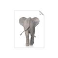 Picture of Behind Elephant _GroupedProduct_Rectangle_Portrait_Mini_ _GroupedProduct_Rectangle_Portrait_Unframed_Print_Only_