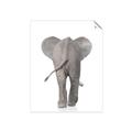 Picture of Behind Elephant _GroupedProduct_Rectangle_Portrait_Mini_ _GroupedProduct_Rectangle_Portrait_Unframed_Print_Only_