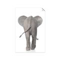 Picture of Behind Elephant _GroupedProduct_Rectangle_Portrait_Mini_ _GroupedProduct_Rectangle_Portrait_Unframed_Print_Only_