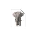 Picture of In Front Elephant _GroupedProduct_Rectangle_Portrait_Mini_ _GroupedProduct_Rectangle_Portrait_Unframed_Print_Only_