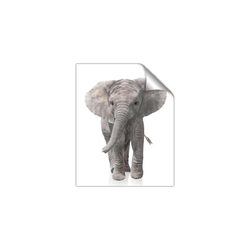 Picture of In Front Elephant _GroupedProduct_Rectangle_Portrait_Mini_ _GroupedProduct_Rectangle_Portrait_Unframed_Print_Only_