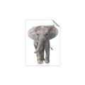 Picture of In Front Elephant _GroupedProduct_Rectangle_Portrait_Mini_ _GroupedProduct_Rectangle_Portrait_Unframed_Print_Only_