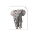Picture of In Front Elephant _GroupedProduct_Rectangle_Portrait_Mini_ _GroupedProduct_Rectangle_Portrait_Unframed_Print_Only_