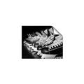 Picture of Pairs of Hockey Skates _GroupedProduct_Rectangle_Landscape_Mini_ _GroupedProduct_Rectangle_Landscape_Unframed_Print_Only_
