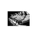 Picture of Pairs of Hockey Skates _GroupedProduct_Rectangle_Landscape_Mini_ _GroupedProduct_Rectangle_Landscape_Unframed_Print_Only_