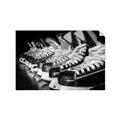 Picture of Pairs of Hockey Skates _GroupedProduct_Rectangle_Landscape_Mini_ _GroupedProduct_Rectangle_Landscape_Unframed_Print_Only_