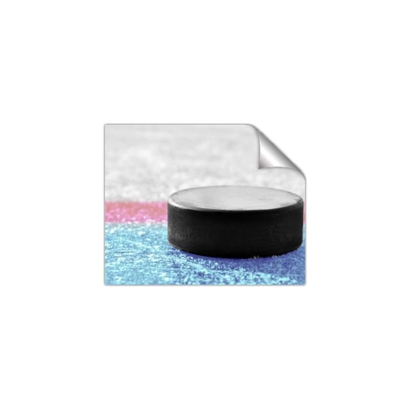 Picture of Hockey Puck  _GroupedProduct_Rectangle_Landscape_Mini_ _GroupedProduct_Rectangle_Landscape_Unframed_Print_Only_