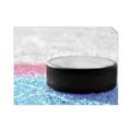 Picture of Hockey Puck  _GroupedProduct_Rectangle_Landscape_Mini_ _GroupedProduct_Rectangle_Landscape_Unframed_Print_Only_