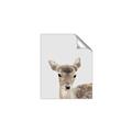 Picture of Deer   _GroupedProduct_Rectangle_Portrait_Mini_ _GroupedProduct_Rectangle_Portrait_Unframed_Print_Only_