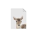 Picture of Deer   _GroupedProduct_Rectangle_Portrait_Mini_ _GroupedProduct_Rectangle_Portrait_Unframed_Print_Only_