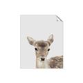 Picture of Deer   _GroupedProduct_Rectangle_Portrait_Mini_ _GroupedProduct_Rectangle_Portrait_Unframed_Print_Only_