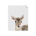 Picture of Deer   _GroupedProduct_Rectangle_Portrait_Mini_ _GroupedProduct_Rectangle_Portrait_Unframed_Print_Only_