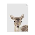 Picture of Deer   _GroupedProduct_Rectangle_Portrait_Mini_ _GroupedProduct_Rectangle_Portrait_Unframed_Print_Only_