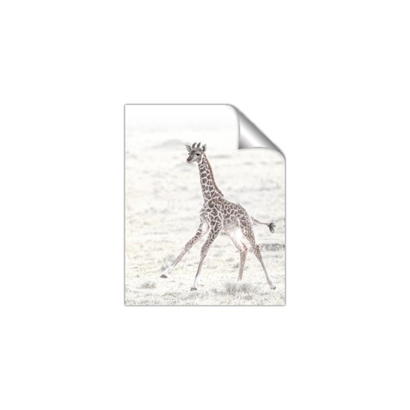 Picture of Summer Giraffe _GroupedProduct_Rectangle_Portrait_Mini_ _GroupedProduct_Rectangle_Portrait_Unframed_Print_Only_