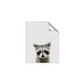 Picture of Peekaboo Raccoon _GroupedProduct_Rectangle_Portrait_Mini_ _GroupedProduct_Rectangle_Portrait_Unframed_Print_Only_