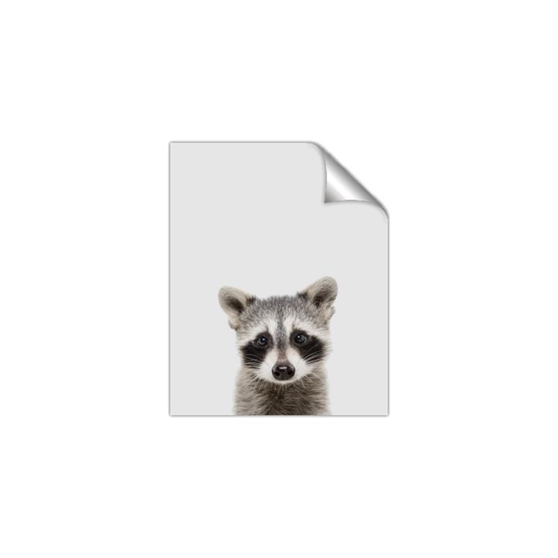 Picture of Peekaboo Raccoon _GroupedProduct_Rectangle_Portrait_Mini_ _GroupedProduct_Rectangle_Portrait_Unframed_Print_Only_