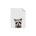 Picture of Peekaboo Raccoon _GroupedProduct_Rectangle_Portrait_Mini_ _GroupedProduct_Rectangle_Portrait_Unframed_Print_Only_
