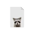 Picture of Peekaboo Raccoon _GroupedProduct_Rectangle_Portrait_Mini_ _GroupedProduct_Rectangle_Portrait_Unframed_Print_Only_