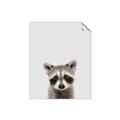 Picture of Peekaboo Raccoon _GroupedProduct_Rectangle_Portrait_Mini_ _GroupedProduct_Rectangle_Portrait_Unframed_Print_Only_