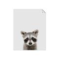 Picture of Peekaboo Raccoon _GroupedProduct_Rectangle_Portrait_Mini_ _GroupedProduct_Rectangle_Portrait_Unframed_Print_Only_