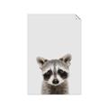 Picture of Peekaboo Raccoon _GroupedProduct_Rectangle_Portrait_Mini_ _GroupedProduct_Rectangle_Portrait_Unframed_Print_Only_