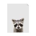 Picture of Peekaboo Raccoon _GroupedProduct_Rectangle_Portrait_Mini_ _GroupedProduct_Rectangle_Portrait_Unframed_Print_Only_