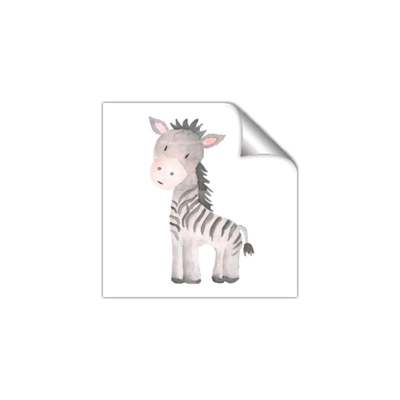 Picture of Baby Zebra  _GroupedProduct_Square_Mini_ _GroupedProduct_Square_Unframed_Print_Only_
