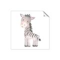 Picture of Baby Zebra  _GroupedProduct_Square_Mini_ _GroupedProduct_Square_Unframed_Print_Only_