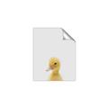 Picture of Baby Duck  _GroupedProduct_Rectangle_Portrait_Mini_ _GroupedProduct_Rectangle_Portrait_Unframed_Print_Only_