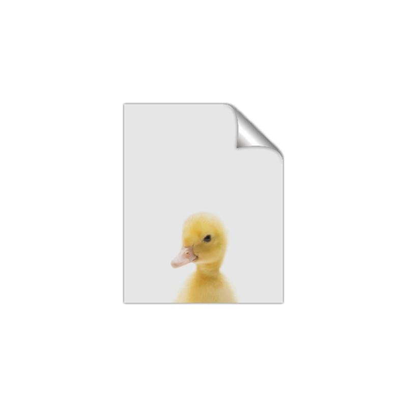 Picture of Baby Duck  _GroupedProduct_Rectangle_Portrait_Mini_ _GroupedProduct_Rectangle_Portrait_Unframed_Print_Only_