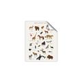 Picture of Animal Alphabet _GroupedProduct_Rectangle_Portrait_Unframed_Print_Only_