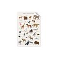 Picture of Animal Alphabet _GroupedProduct_Rectangle_Portrait_Unframed_Print_Only_