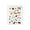 Picture of Animal Alphabet _GroupedProduct_Rectangle_Portrait_Unframed_Print_Only_
