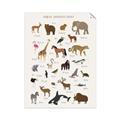 Picture of Animal Alphabet _GroupedProduct_Rectangle_Portrait_Unframed_Print_Only_