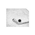 Picture of Ice Hockey stick and puck _GroupedProduct_Rectangle_Landscape_Mini_ _GroupedProduct_Rectangle_Landscape_Unframed_Print_Only_