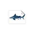 Picture of Shark Attack II  _GroupedProduct_Rectangle_Landscape_Mini_ _GroupedProduct_Rectangle_Landscape_Unframed_Print_Only_