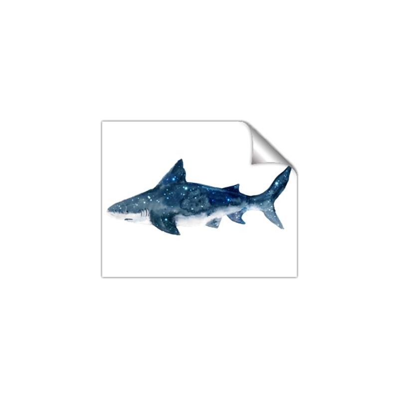 Picture of Shark Attack II  _GroupedProduct_Rectangle_Landscape_Mini_ _GroupedProduct_Rectangle_Landscape_Unframed_Print_Only_