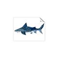 Picture of Shark Attack II  _GroupedProduct_Rectangle_Landscape_Mini_ _GroupedProduct_Rectangle_Landscape_Unframed_Print_Only_