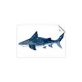 Picture of Shark Attack II  _GroupedProduct_Rectangle_Landscape_Mini_ _GroupedProduct_Rectangle_Landscape_Unframed_Print_Only_