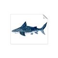 Picture of Shark Attack II  _GroupedProduct_Rectangle_Landscape_Mini_ _GroupedProduct_Rectangle_Landscape_Unframed_Print_Only_