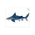 Picture of Shark Attack II  _GroupedProduct_Rectangle_Landscape_Mini_ _GroupedProduct_Rectangle_Landscape_Unframed_Print_Only_