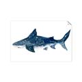 Picture of Shark Attack II  _GroupedProduct_Rectangle_Landscape_Mini_ _GroupedProduct_Rectangle_Landscape_Unframed_Print_Only_
